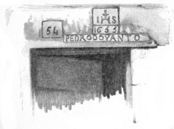 Illustration Black & White