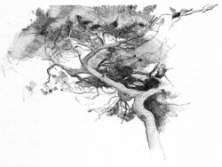 Illustration Black & White