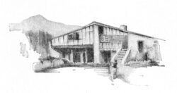 Illustration Black & White
