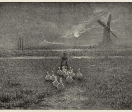 Moonlights in the Marsh-Lands - The International Studio - June 1905 Moonlights in the Marsh-Lands - The International Studio - June 1905